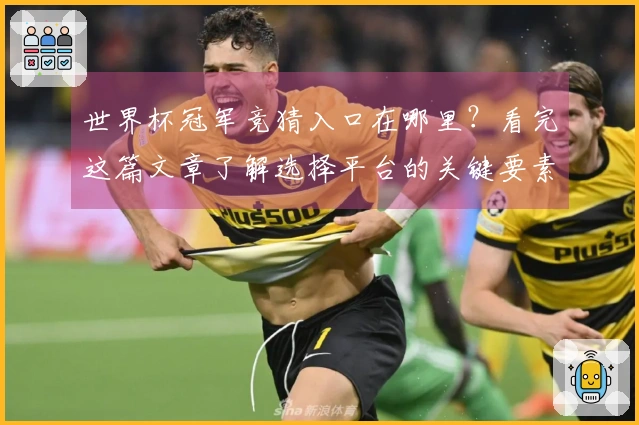 世界杯冠军竞猜入口在哪里?看完这篇文章了解选择平台的关键要素